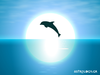 Ονειροκρίτης: Είδες στο όνειρό σου δελφίνια;