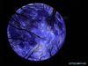 Πανσέληνος - Blue Moon Οκτωβρίου στον Ταύρο: Σκόνη και θρύψαλα  