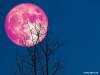 Ζώδια Σήμερα 27/04: Ροζ Super moon στον Σκορπιό – Άλλα θέλεις κι άλλα παίρνεις