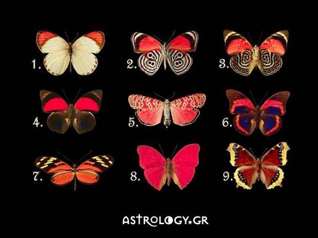 Κάθε μια από τις 9 πεταλούδες δείχνει μια κρυφή σου σκέψη ή συναίσθημα!