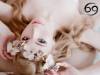 Αφροδίτη στον Καρκίνο: Αυτά τα ζώδια θα έχουν τύχη στον έρωτα και τα χρήματα 