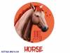 Κινέζικη Αστρολογία: Έτσι είναι το Άλογο στα αισθηματικά του