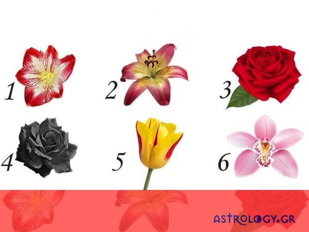 Τo λουλούδι που θα διαλέξεις αποκαλύπτει ένα μυστικό για την προσωπικότητά σου